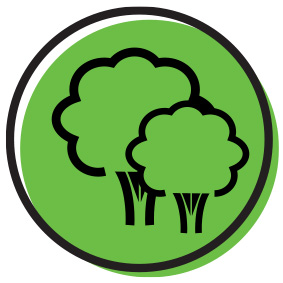 Green icon of a tree representing biodiversity