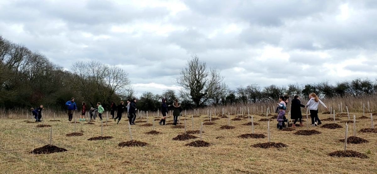 The Children's Forest at Leasowe Farm