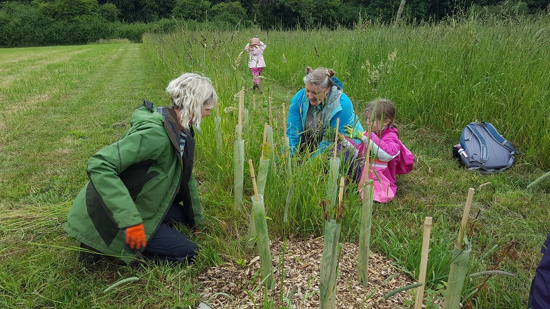 Tending the trees at Leasowe Farm, Radford Semele